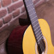 WALDEN - WAN350W STANDARD 300 5