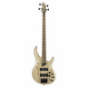 Cort - B4 ELEMENT OPN 1