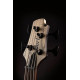 Cort - A4 ULTRA ASH ENB C/ESTUCHE 4
