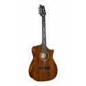 Cort - FRANK GAMBALE LUXE NYLON BR W/CASE