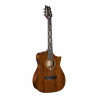 Cort - FRANK GAMBALE LUXE NYLON BR W/CASE 1