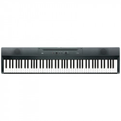 Korg - LIANO METALLIC GRAY