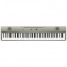 Korg - LIANO METALLIC SILVER