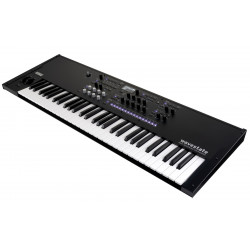 Korg - WAVESTATE SE 1