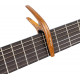Ortega - TWCAPO-WND 1