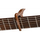 Ortega - OCAPO-WND 1