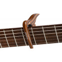 Ortega - OCAPO-WND