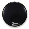 Aquarian - FR22BK