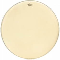 Aquarian - MOTC-M20 1