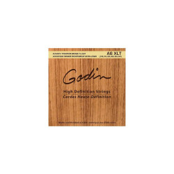 GODIN - INGODIN13 1