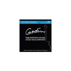 GODIN - INGODIN13 1