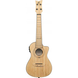 Ortega - RUNAB-CC 1