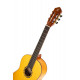 Ortega - R170F 2