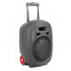 Ibiza Sound - PORT8UHF-MKII-TWS 1