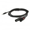 Dap Audio - DAP-Audio FLX46 - stereo mini Jack > 2 XLR/M 3p. 1