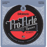 D'addario - EJ45TT ProArte Dynacore, Titanium Trebles, Normal Tension 1