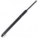 Ortola - BG4663