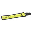 Ortola - REF. HB79-V