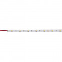 Artecta - Havana Ribbon 6000K 30-24V