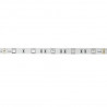 Artecta - Havana Ribbon Blue 30-24V 1