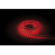 Artecta - Havana Ribbon Red 60-24V 2