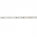 Artecta - Havana Ribbon 6000K 60-24V