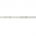 Artecta - Havana Ribbon 2400K 75-24V