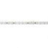 Artecta - Havana Ribbon 2400K 75-24V 1