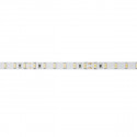 Artecta - Havana Ribbon 6000K 75-24V