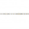 Artecta - Havana Ribbon 6000K 75-24V 1
