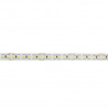 Artecta - Havana Ribbon 2400K 120-24V 1