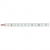 Artecta - Havana Rigid 3000 K - 30 - 24 VDC 1