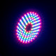 American Dj - Rayzer 2