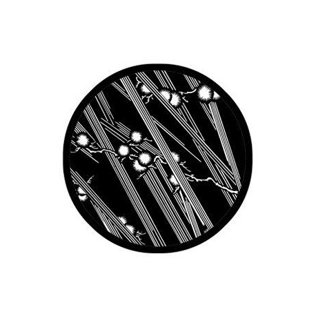 Rosco - 78534