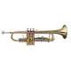 Sound Sation - TROMBA SOUNDSATION STPGD-10 GOLD 4