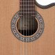 Toledo - CHITARRA HYBRID TOLEDO BEATRIZ H 4