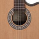 Toledo - CHITARRA HYBRID THIN LINE TOLEDO 10