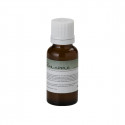 Sound Sation - BOTT.20ML SOUNDSATION FF20ML-APP