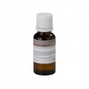 Sound Sation - BOTT.20ML SOUNDSATION FF20ML-COC
