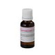 Sound Sation - BOTT.20ML SOUNDSATION FF20ML-COT 2