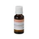 Sound Sation - BOTT.20ML SOUNDSATION FF20ML-PAS 2