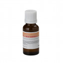 Sound Sation - BOTT.20ML SOUNDSATION FF20ML-RED