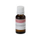 Sound Sation - BOTT.20ML SOUNDSATION FF20ML-STR 1