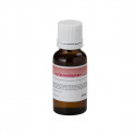 Sound Sation - BOTT.20ML SOUNDSATION FF20ML-STR