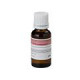 Sound Sation - BOTT.20ML SOUNDSATION FF20ML-STR 2