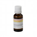 Sound Sation - BOTT.20ML SOUNDSATION FF20ML-TUT