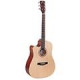 Sound Sation - CHITARRA ACUSTICA MANCINA SOUND 4