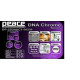 Peace - BATTERIA PEACE DNA DP-22DNAC2-5- 6