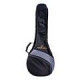 Sound Sation - BORSA SOUNDSATION BANJO BUZOUKY 6