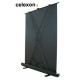 Celexon - Ultraportatil Plus PRO 160x90